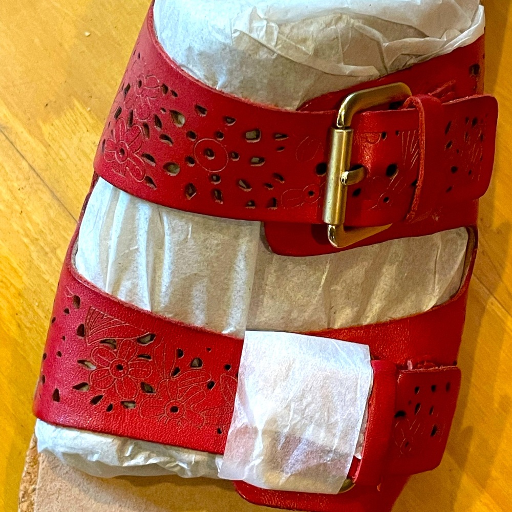 EARTH red sandals, size 11, new in the box